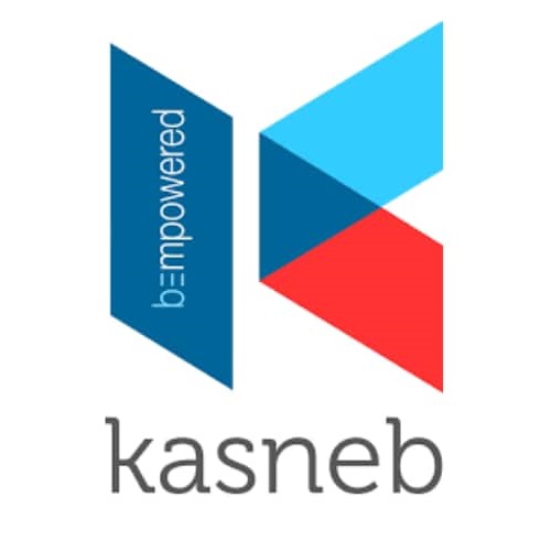 KASNEB Professional Examination Body
